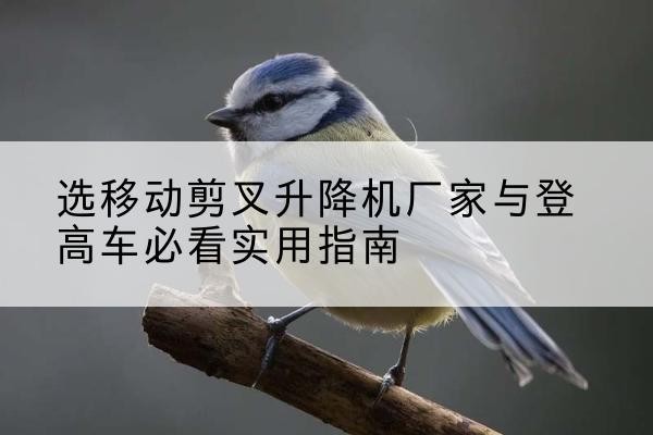 通道电动升降机厂家-选移动剪叉升降机厂家与登高车必看实用指南