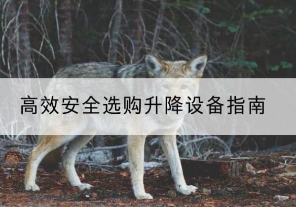 通道升降货梯厂家推荐-*安全选购升降设备指南