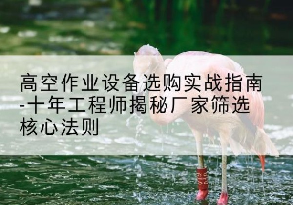 通道剪叉式升降机厂家-高空作业设备选购实战指南-十年工程师揭秘厂家筛选核心法则